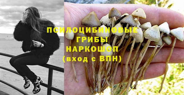марки lsd Зерноград