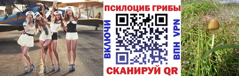 Купить где Красный Холм Галлюциногенные грибы прущие грибы